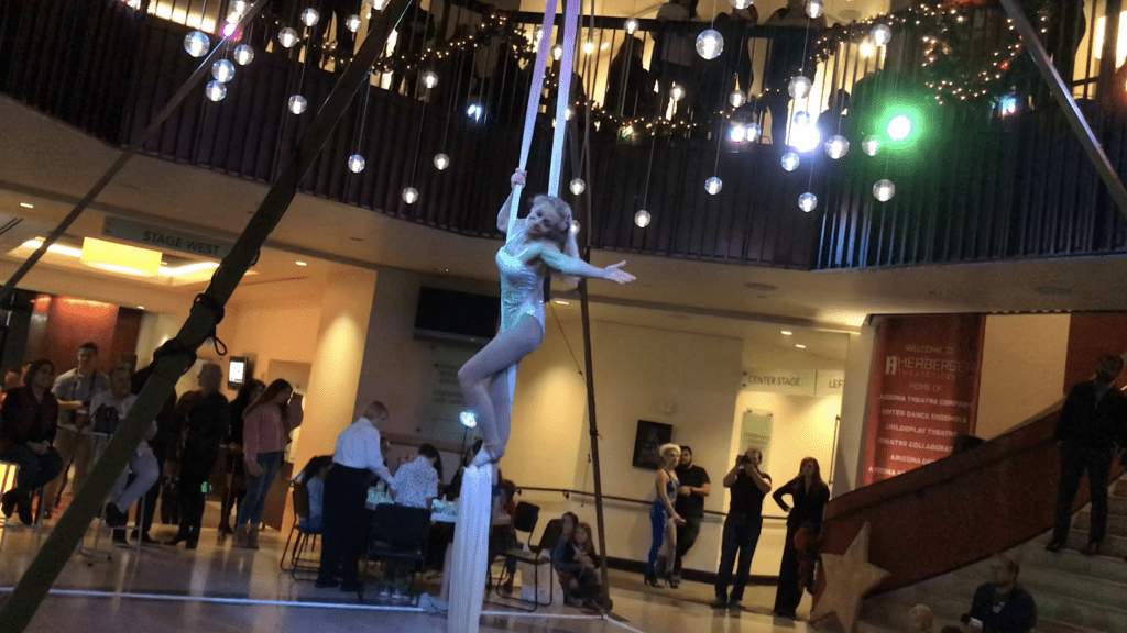Aerial Entertainment on Silks at the Herberger Theater